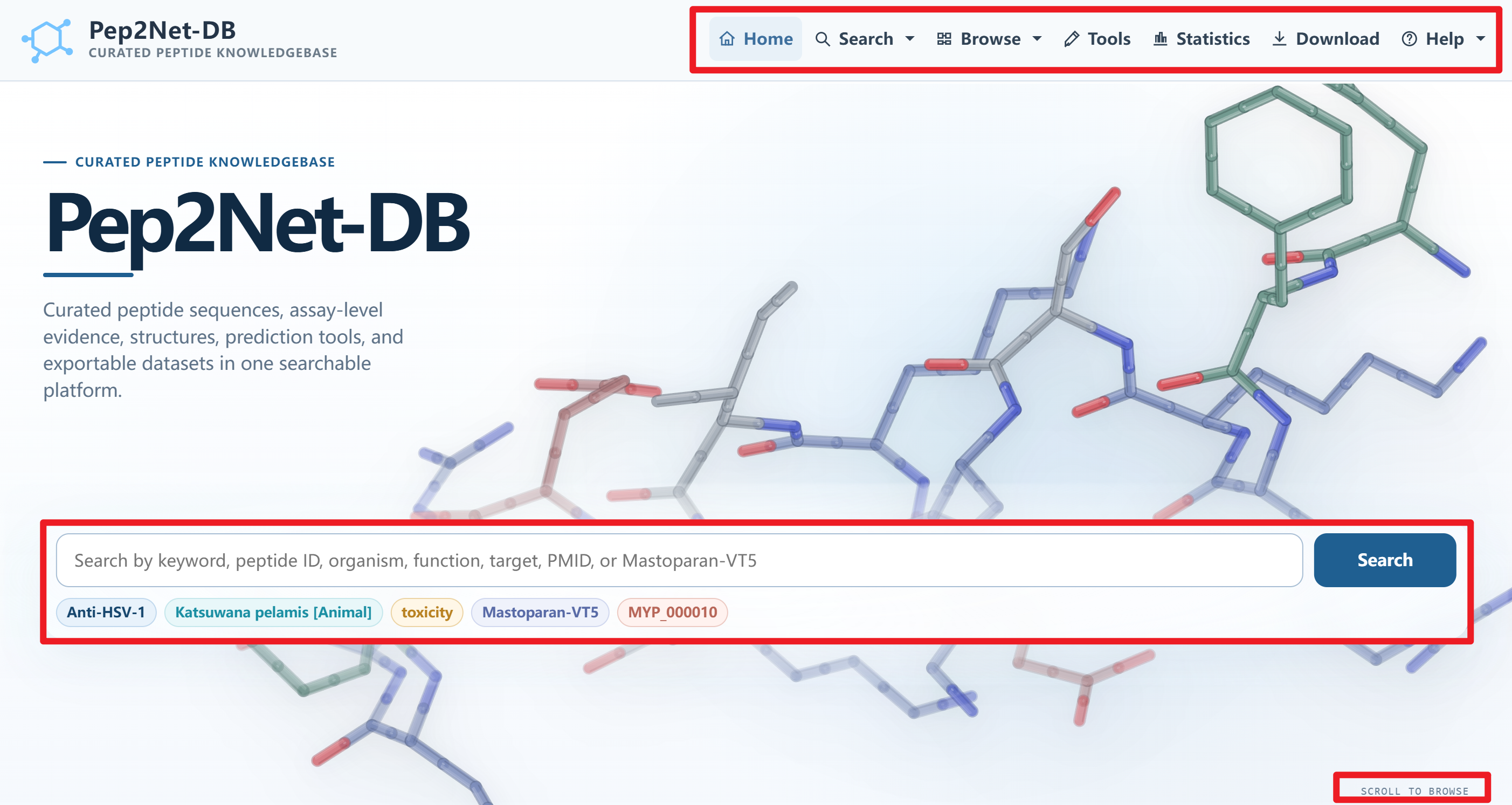 Home page overview